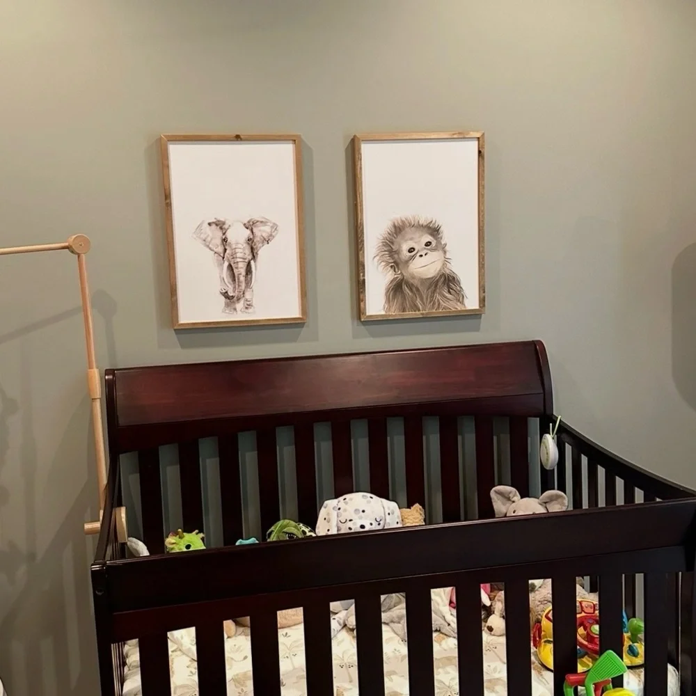Animal Art Prints with Wooden Frames